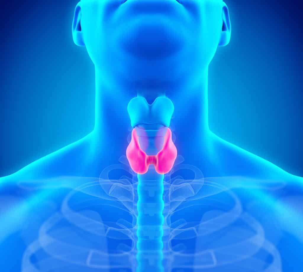 thyroid disease problems