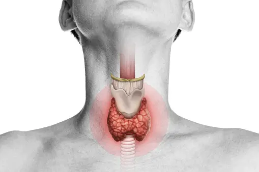 7 Effective Ways to Prevent Thyroid Disease Problems